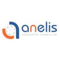 Franquicias Anelis Network Desarrollo de páginas web y servicios complementarios