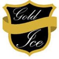 Franquicias Gold Ice Distribución de equipos de fabricación y almacenamiento de cubitos de hielo