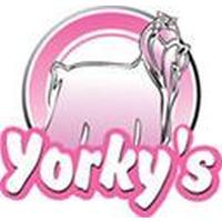 Franquicias Yorkys Estilismo canino, venta de articulos y complementos para mascotas