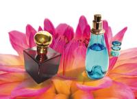 ¿Buscas un negocio en auge? ¡Las franquicias de perfumes de equivalencia son lo tuyo!