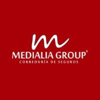 La franquicia Medialia Group y sus franquiciados evalúan su negocio