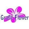 Franquicia Graficflower