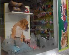 Interzoo