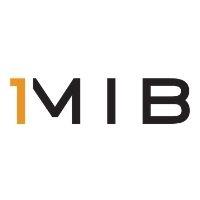 Franquicias 1MIB Consultor Digital para el sector multiservicios