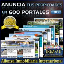 Franquicia Alianza Inmobiliaria Internacional