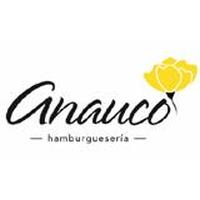 Franquicias Anauco Hamburguesería Premium
