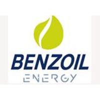 Franquicias BENZOIL Estaciones de servicio