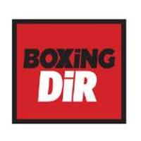 Franquicias Boxing DiR Tu club de boxeo ahora en franquicia