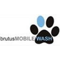 Franquicias Brutus Mobile Wash Peluquería canina a domicilio