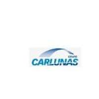 Franquicias CARLUNAS Reparación y Sustitución de Lunas 