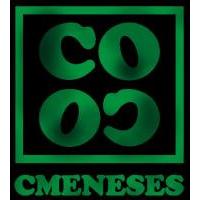 Franquicias COCO MENESES Moda femenina, bisutería, bolsos y complementos