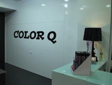 COLOR Q