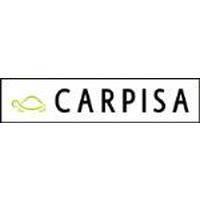Franquicia Carpisa