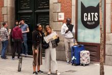 Cats Hostels