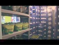 Cervecerías El Manicomio