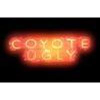 Franquicias Coyote Ugly Franquicia de locales de ocio nocturno basados en la película de el Bar Coyote