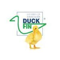 Franquicias Duck Fin Asesores en financiación Servicios financieros