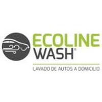 Franquicias Ecoline Wash Lavado de auto a domicilio a vapor