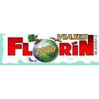 Franquicias Florín 2000 Agencia de Viajes