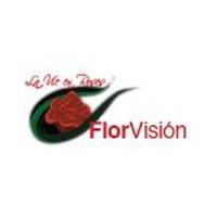 Franquicias Florvisión Máquinas vending de ramos de flores frescas