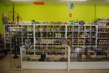 Grow Shop Cogolandia