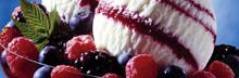 Franquicia GelatItaly