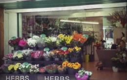Herbs