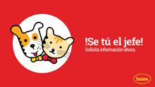 Una franquicia que innova en el sector de las mascotas