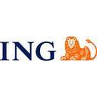 Franquicias ING Soluciones Financieras 
