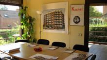 ¿En qué consiste el concepto de negocio que propone la franquicia Ksanet? 