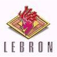 Franquicias Lebron Peluquería y Estética