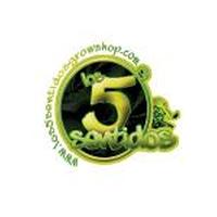 Franquicias Los 5 Sentidos Grow Shop Venta de semillas y tatuajes 