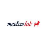 Franquicias Meelowlab Agencia de Marketing enfocada al diseño, la innovación y las nuevas tecnologías