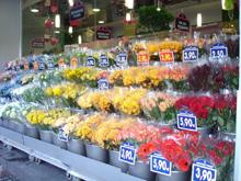 Monceau Fleurs