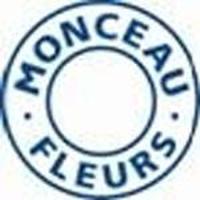 Franquicias Monceau Fleurs Autoservicios de flores y plantas