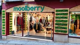 Franquicia Moolberry