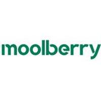 Franquicias Moolberry Tiendas de moda mujer 