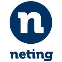 Franquicias Neting  Networking Digital