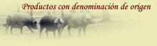 Nogales