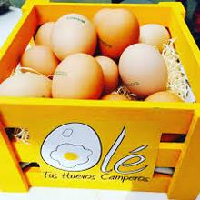 Olé Tus Huevos Camperos