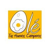 Franquicias Olé Tus Huevos Camperos Alimentación gourmet