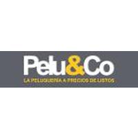 Franquicias Pelu&Co Estética y Belleza