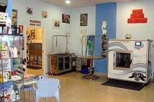 Franquicia Pet Spa