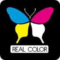 Franquicias Real Color Consumibles compatibles y accesorios de informática y telefonía