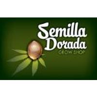 Franquicias Semilla Dorada GROWSHOP