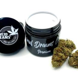 SWEED DREAMS CBD