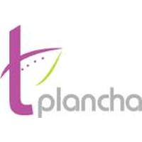 Franquicias Tplancha Servicio de Teleplancha, servicio a domicilio