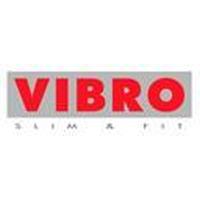 Franquicias Vibro Slim and Fit salud - gimnasio - adelgazamiento