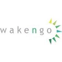 Franquicias Wakengo Tienda on-line y posicionamiento / Marketing digital