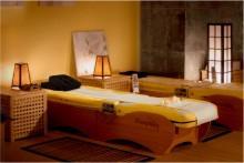 Wellness Factory
